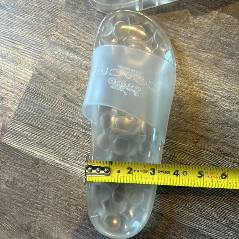 Coach size clear slides